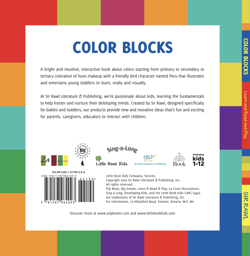 Color Blocks - back print
